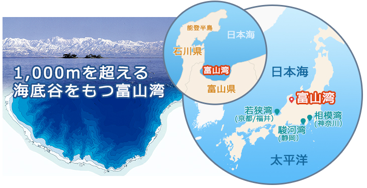 富山湾は日本海のポケット